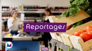 Le Producteur Local, la coopérative qui redonne du pouvoir au producteur comme au consommateur
