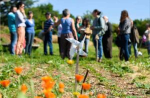 L’éducation populaire au service de la transition écologique juste des territoires