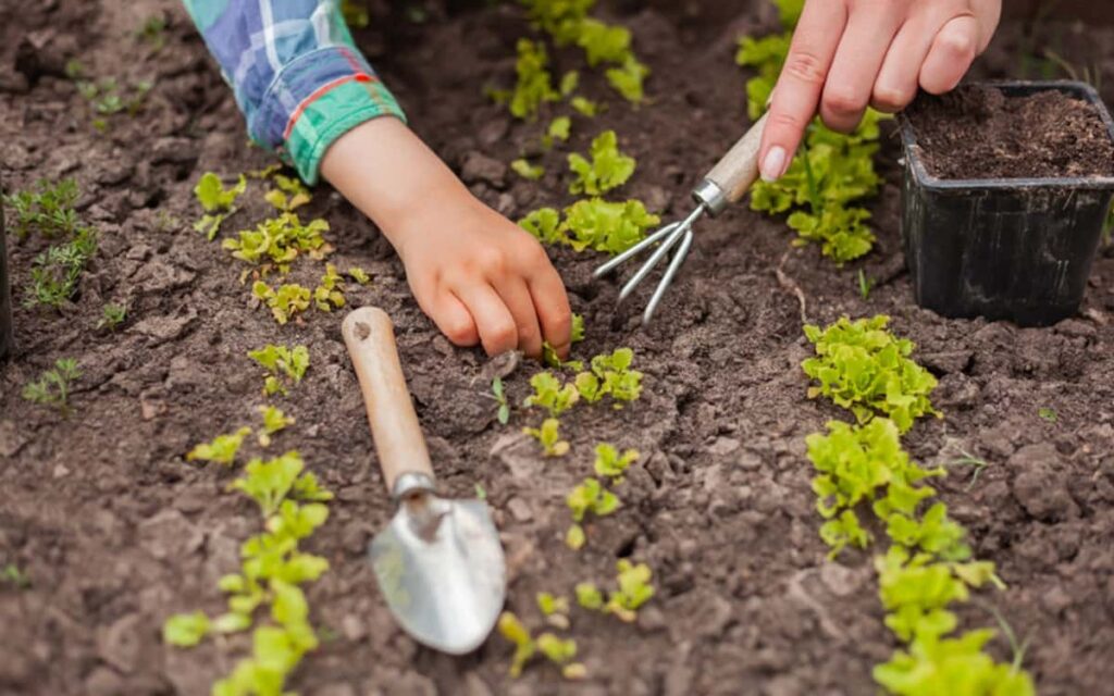 Nature à Paris : le programme de l’été