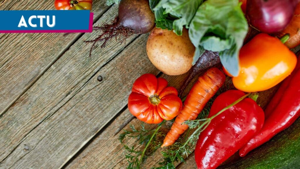 Planification écologique : les coopératives bio demandent un soutien financier public