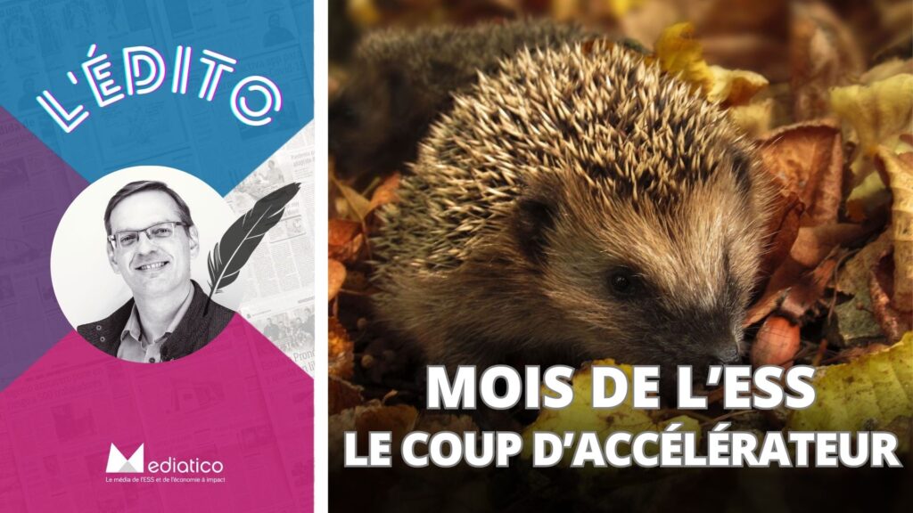 Mois de l’ESS 2023 : un méga coup d’accélérateur pour une filière d’avenir !