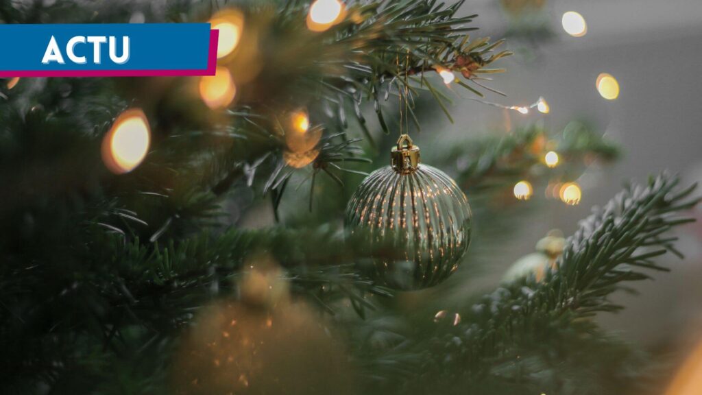 Sapin naturel ou artificiel : le match de l’empreinte carbone avant Noël