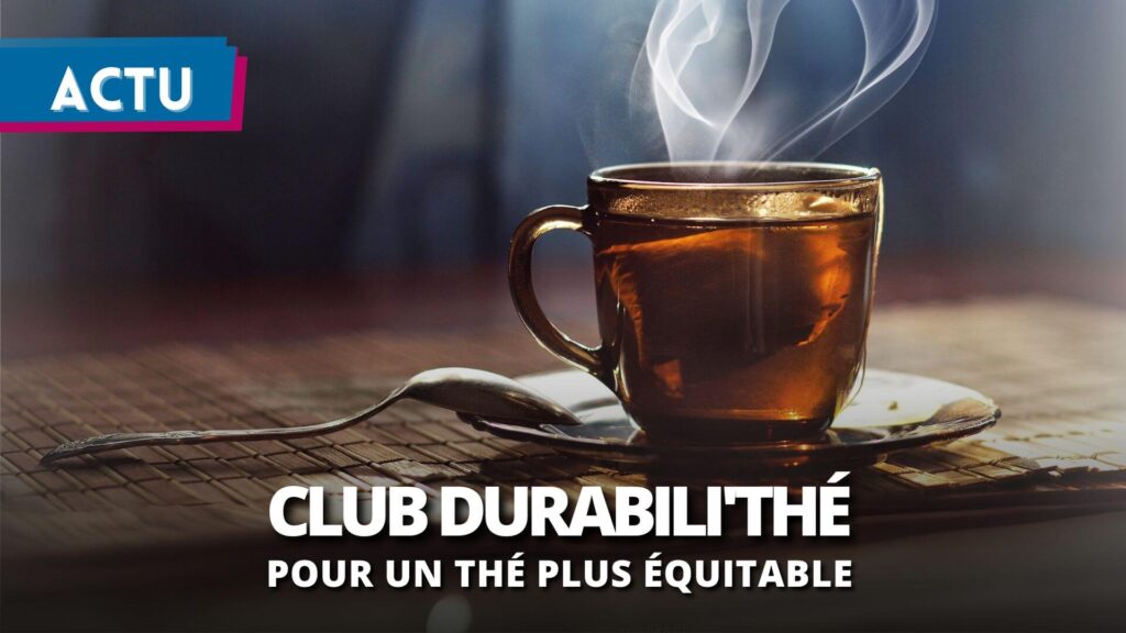 Solidari’thé et Durabili’thé : pour un thé plus équitable et plus durable