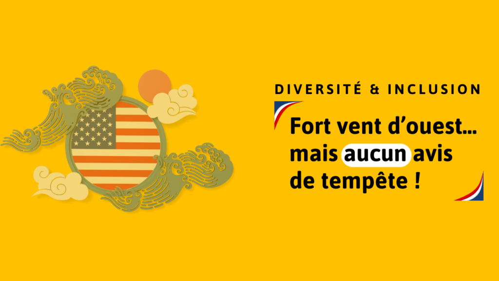 [TRIBUNE] Diversités & Inclusion : Fort vent d’ouest mais aucun avis de tempête !