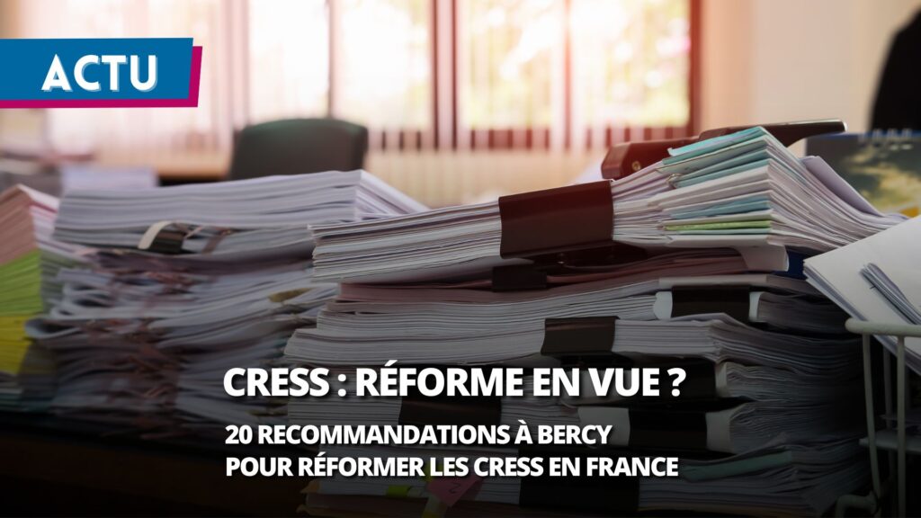 Les 20 recommandations à Bercy pour réformer les CRESS en France