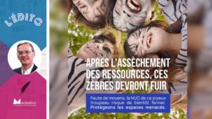 Mediatico vous souhaite un bel été