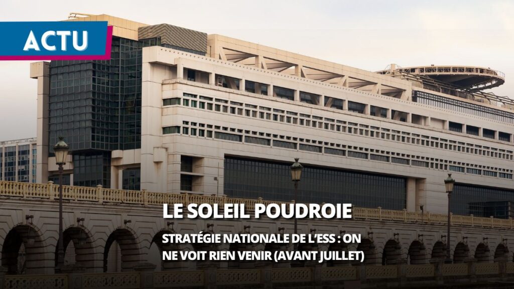 Stratégie nationale de l’ESS : sauf le soleil qui poudroie, on ne voit rien venir (avant juillet)