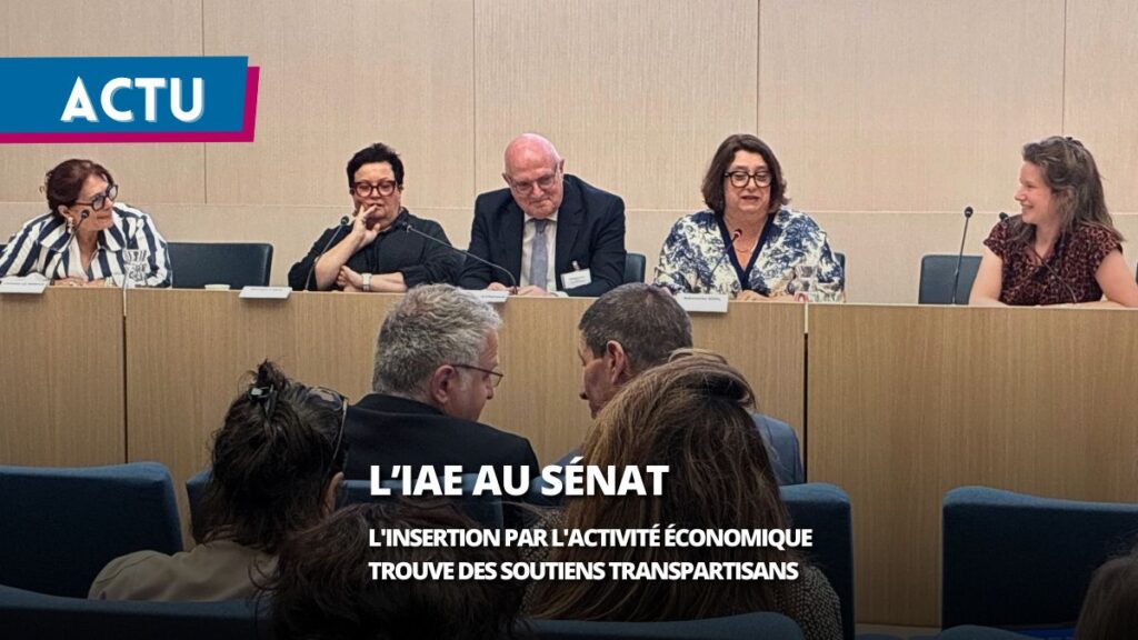 Au Sénat, l’insertion par l’activité économique trouve des soutiens au-delà des clivages politiques